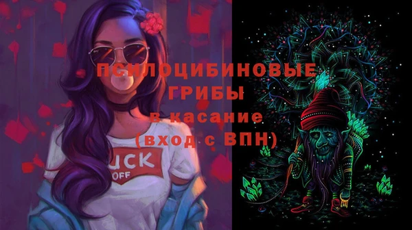 spice Гусь-Хрустальный