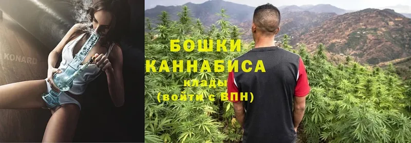 darknet наркотические препараты  Котельники  Канабис OG Kush 